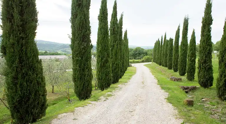 Farmhaus in Castiglione d'Orcia