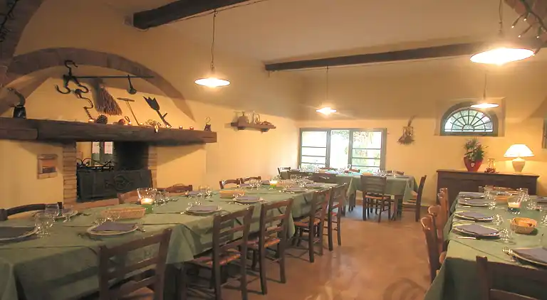 Farm house in Collesalvetti