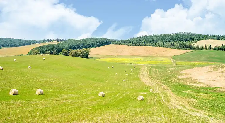 Farmhaus in Collesalvetti