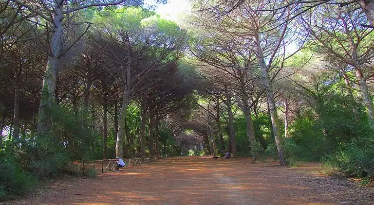 Ferienhaus in Marina di Castagneto Carducci