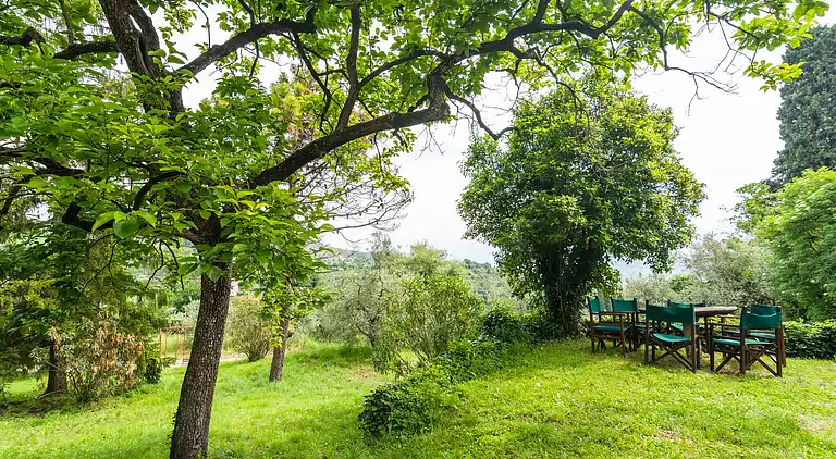 Farm house in Carmignano