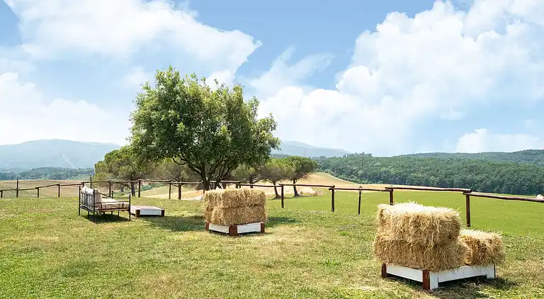 Farm house in Collesalvetti