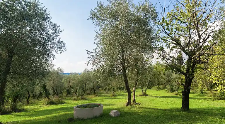 Holiday home in Ghizzano