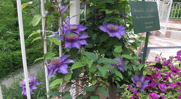 Holiday home in Donoratico