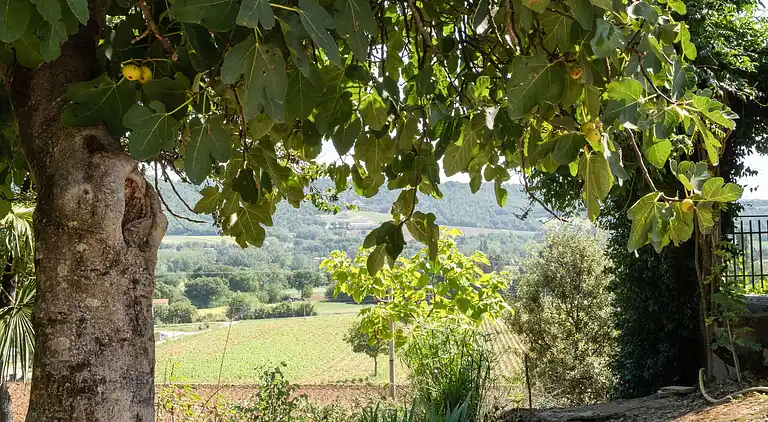 Gårdshus i Città di Castello