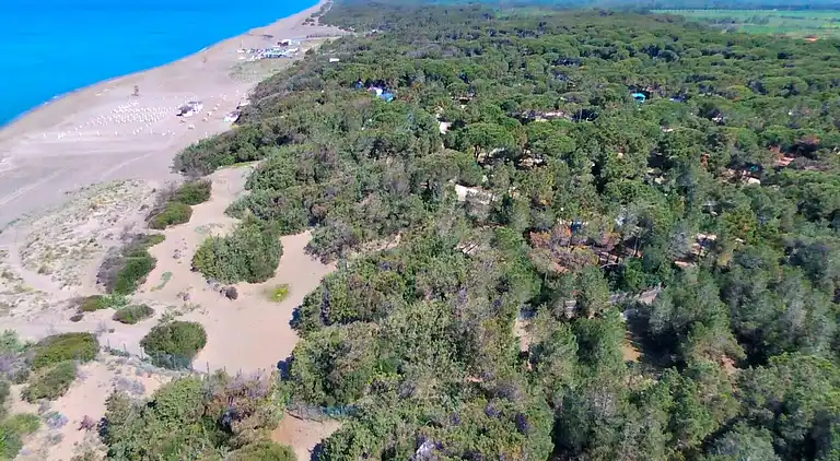 Holiday home in Donoratico