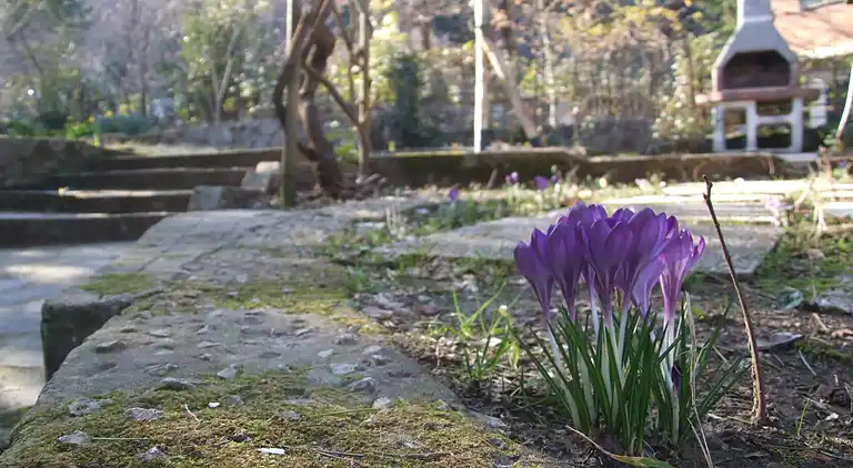 Holiday home in Donoratico