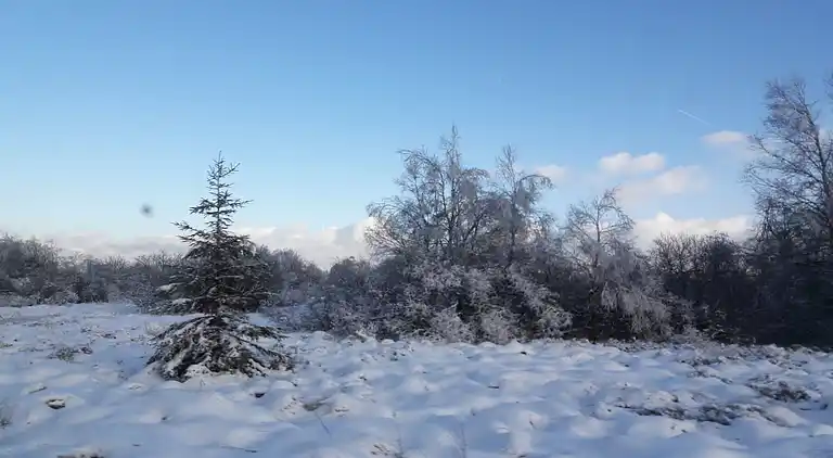 Semesterbostad i Elsenborn