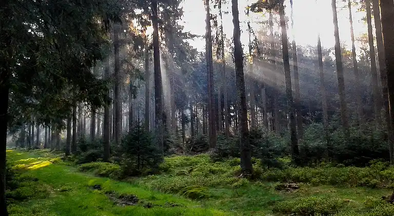 Holiday home in Büllingen