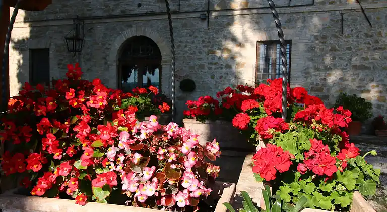 Gårdhus i Villa del Marchese