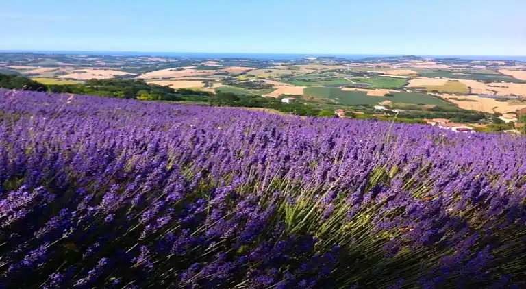 Holiday home in Serrungarina