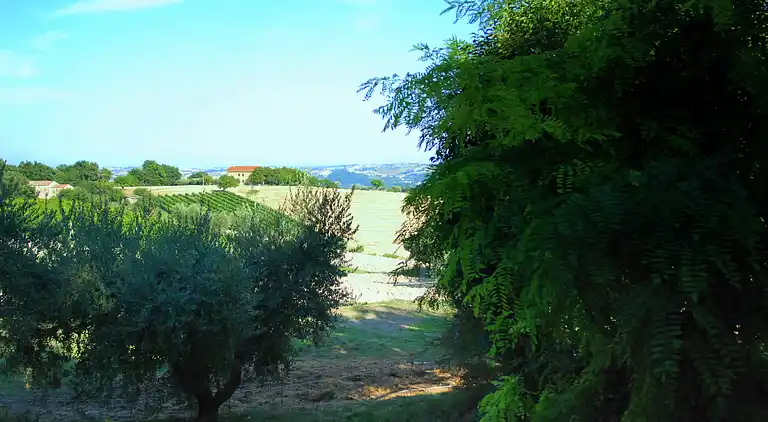 Holiday home in Serrungarina