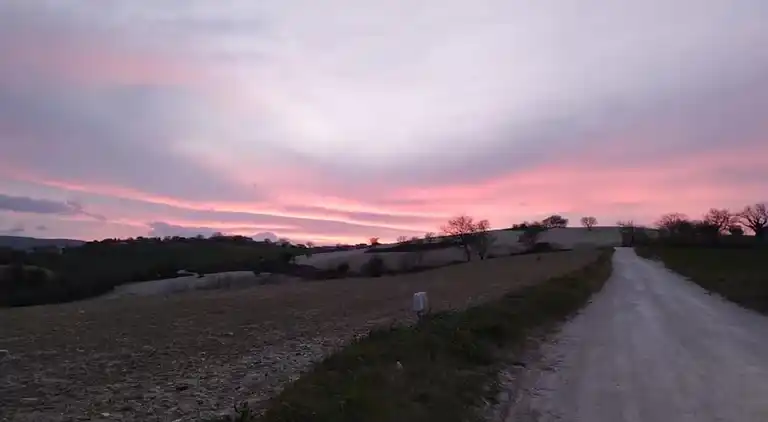 Holiday home in Serrungarina