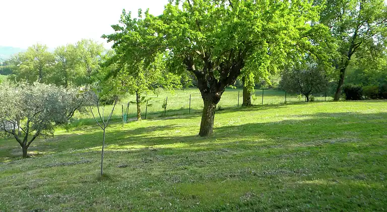 Holiday home in Serrungarina