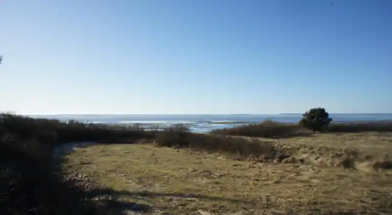 Holiday home in Esbjerg V