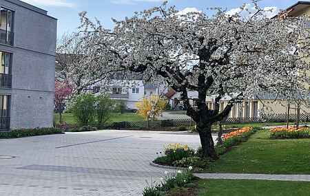 Sommerhus i Stetten