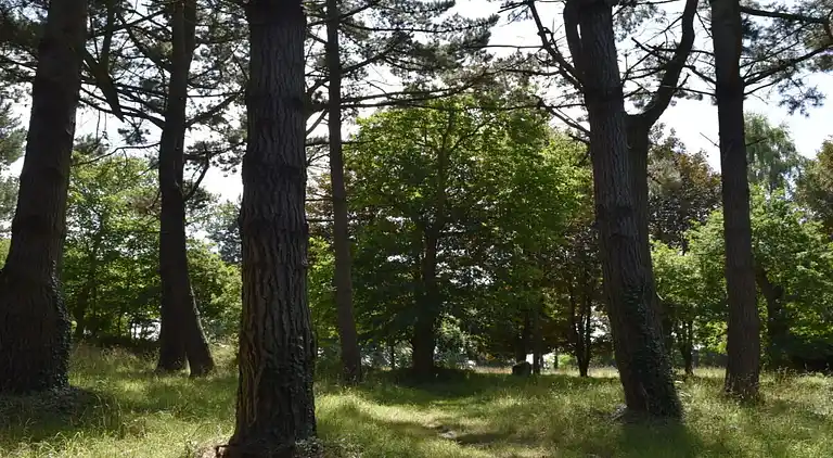 Holiday home in Plouaret