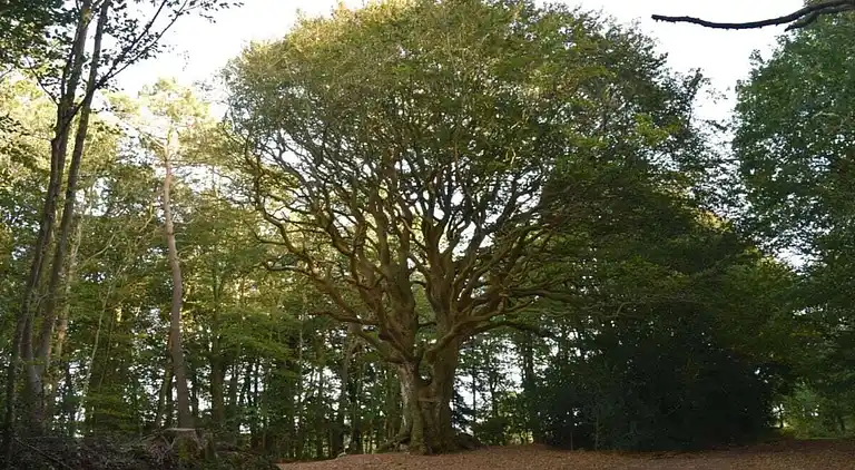 Holiday home in Plouaret