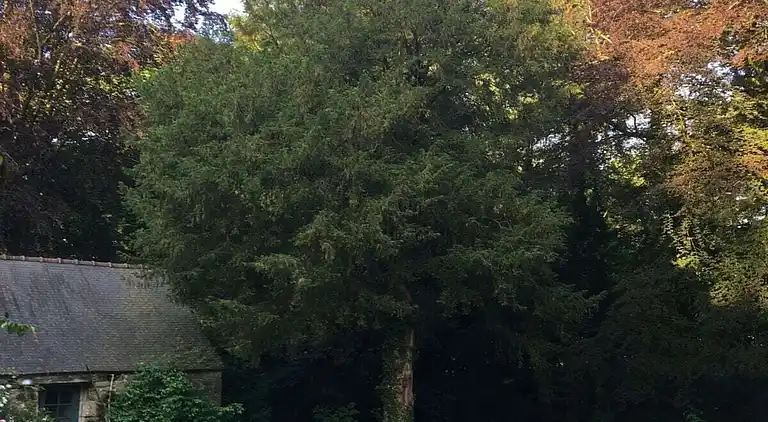 Holiday home in Plouaret