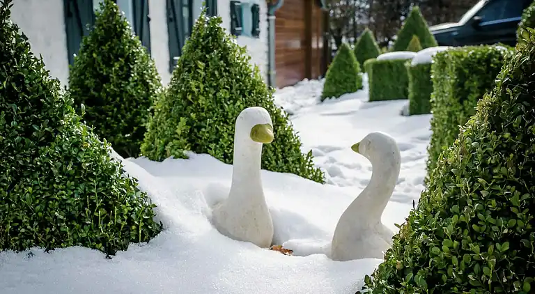 Feriebolig i Elsenborn