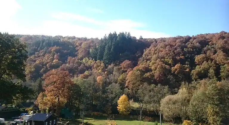 Holiday home in Remouchamps