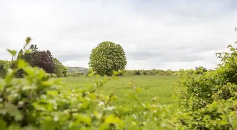 Herregård i Spaloumont