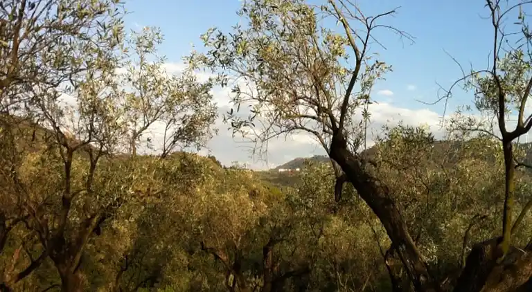 Holiday home in Maida