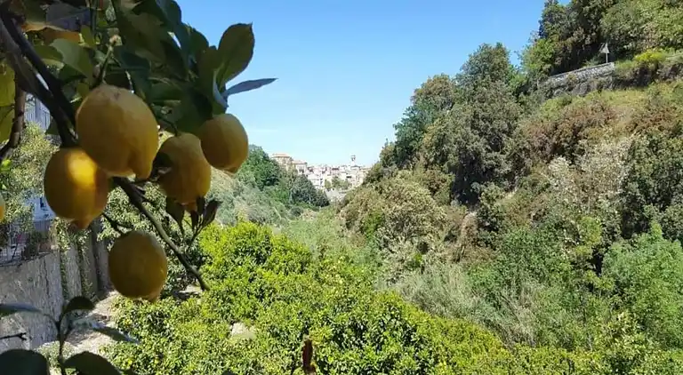 Villa i Santa Caterina dello Ionio Marina