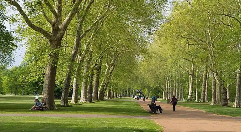 Holiday home in Maida