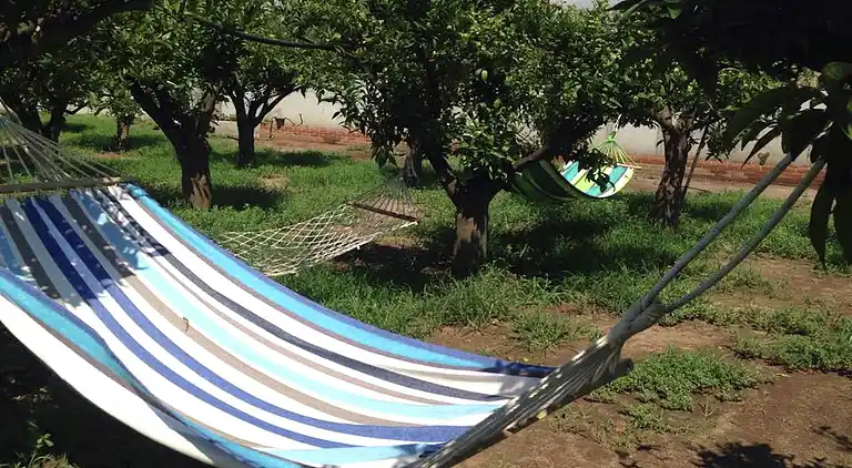 Farm house in Limbadi