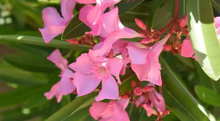 Holiday home in Castellammare del Golfo