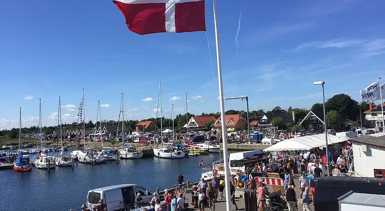 Unikt feriehus tæt på Hou/Hals