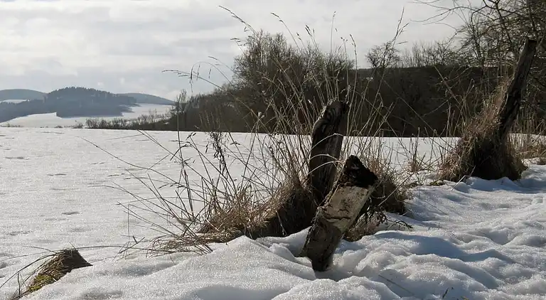 Sommerhus i Feriendorf Hennesee