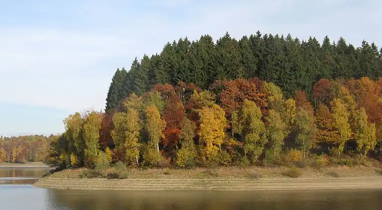 Sommerhus i Feriendorf Hennesee