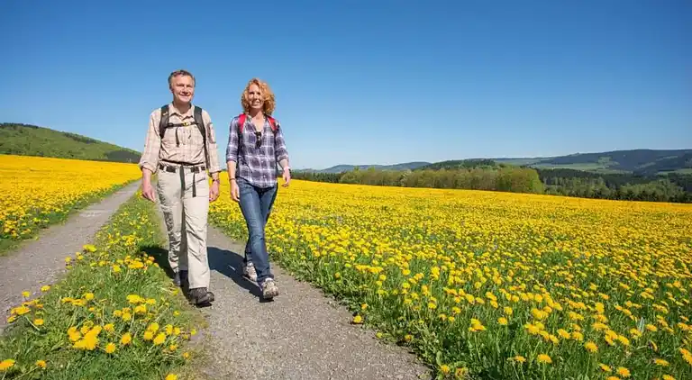 Leilighet i Wehrstapel