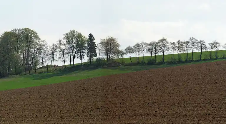 Sommerhus i Feriendorf Hennesee