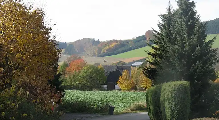 Sommerhus i Feriendorf Hennesee