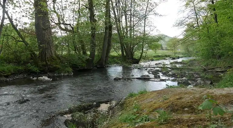Leilighet i Wehrstapel