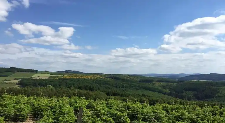 Leilighet i Wehrstapel