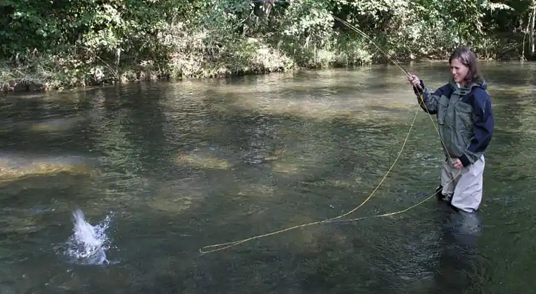 Leilighet i Wehrstapel