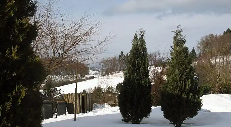 Sommerhus i Feriendorf Hennesee