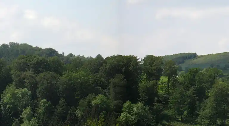 Sommerhus i Feriendorf Hennesee