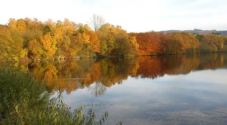 Sommerhus i Feriendorf Hennesee