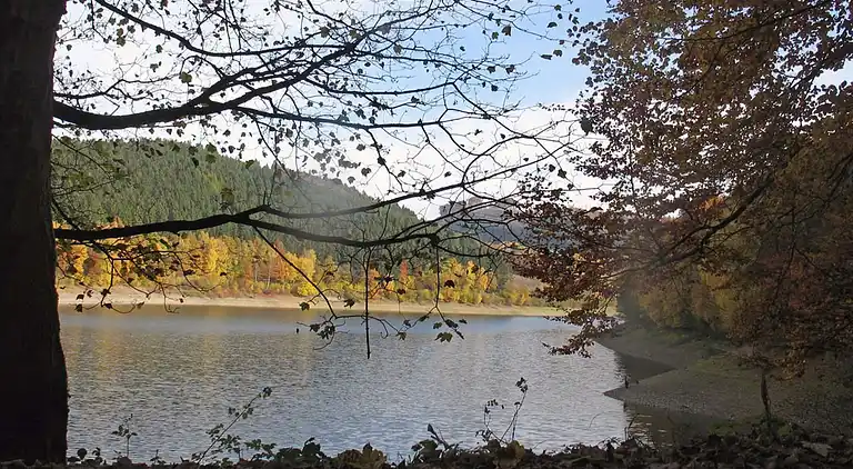 Sommerhus i Feriendorf Hennesee