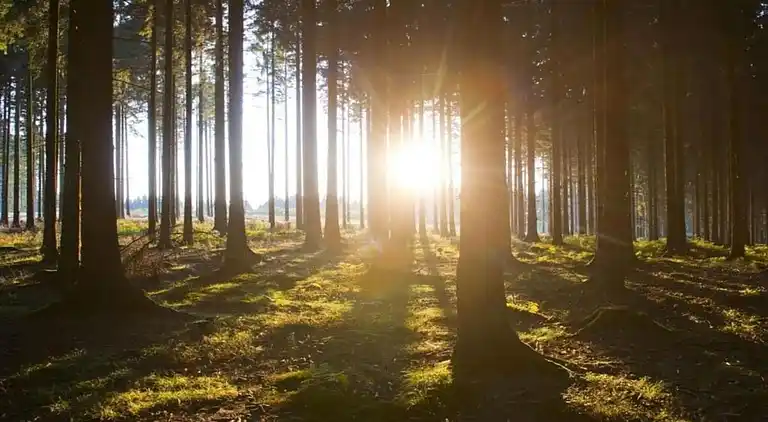 Apartment in Wehrstapel