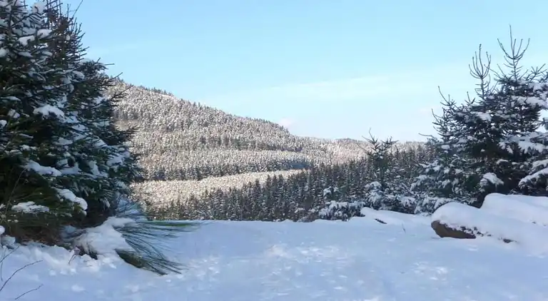 Ferielejlighed i Eslohe (Sauerland)