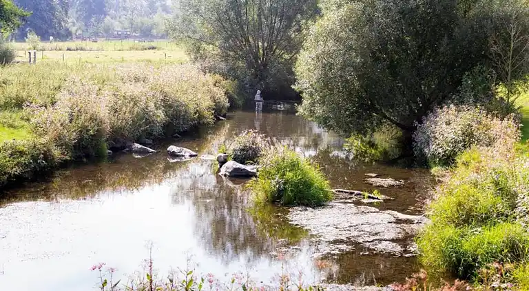 Holiday home in Feriendorf Hennesee