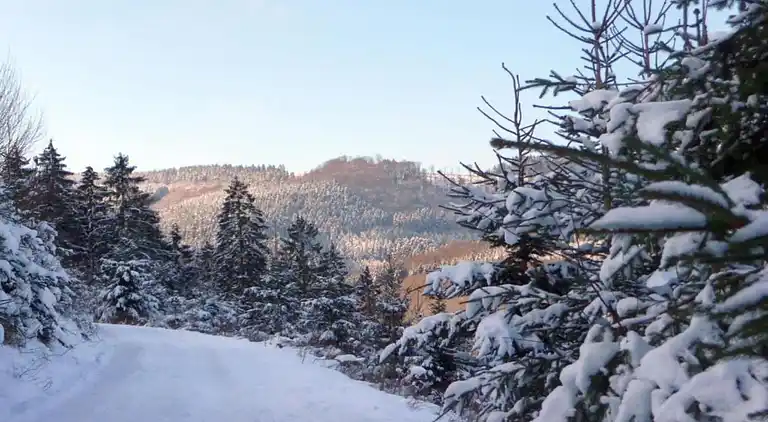 Ferielejlighed i Eslohe (Sauerland)