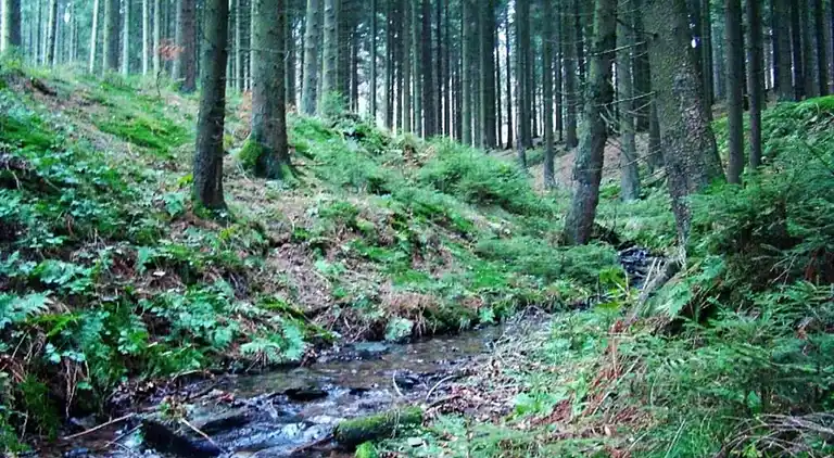 Ferielejlighed i Eslohe (Sauerland)