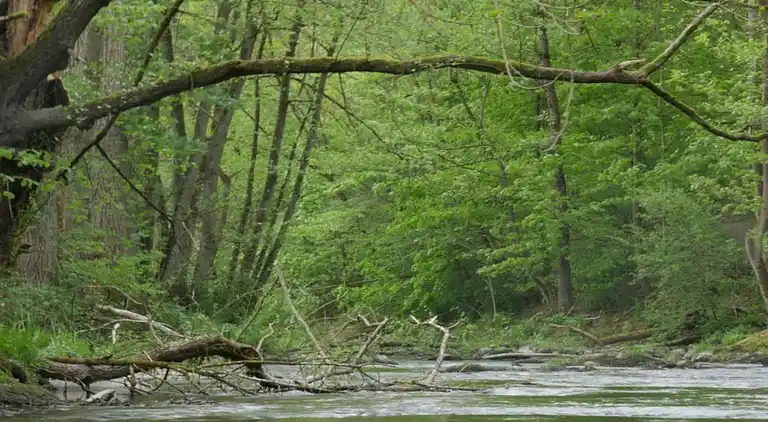 Holiday home in Feriendorf Hennesee